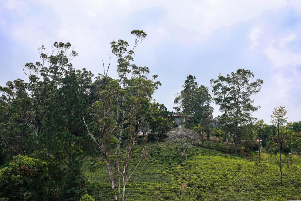 City Heaven Ella Ngoại thất bức ảnh